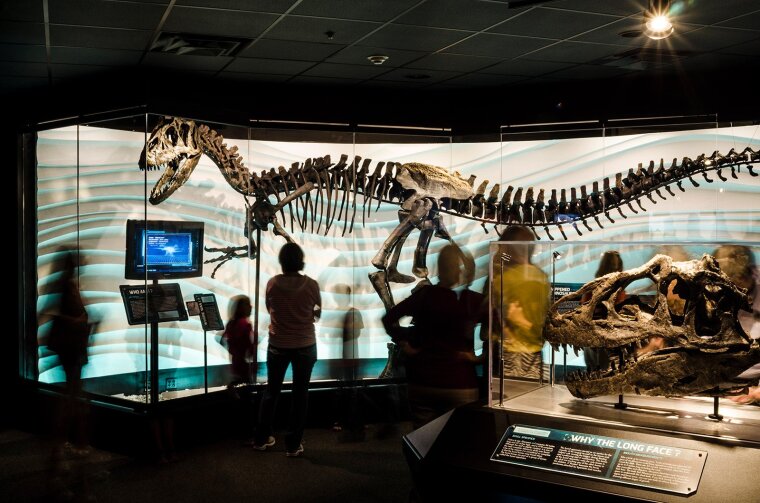 1703-creation-museum-exhibit-allosaurus