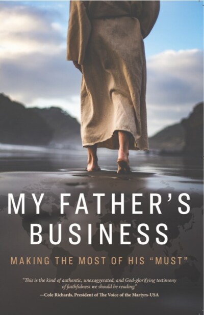 my-fathers-business